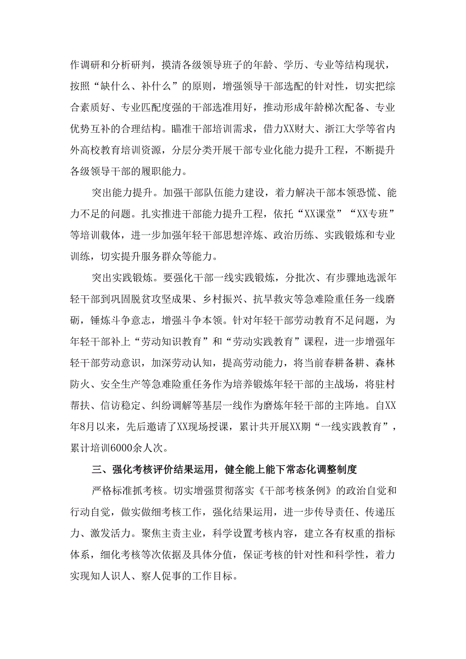 组织部长关于干部队伍建设思路打算的 发言.docx_第3页