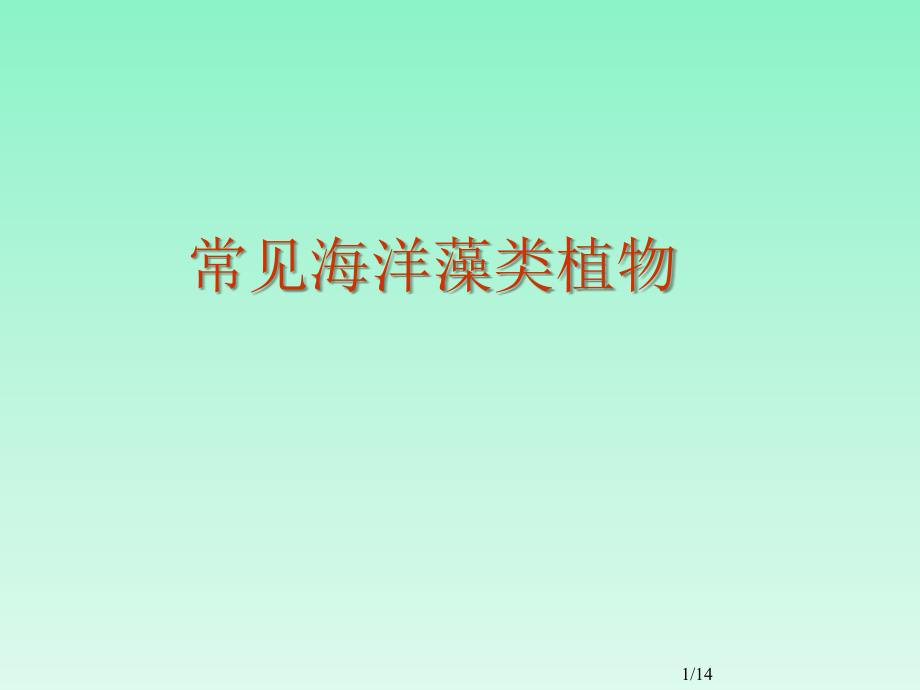 常见海洋藻类植物组图.ppt_第1页