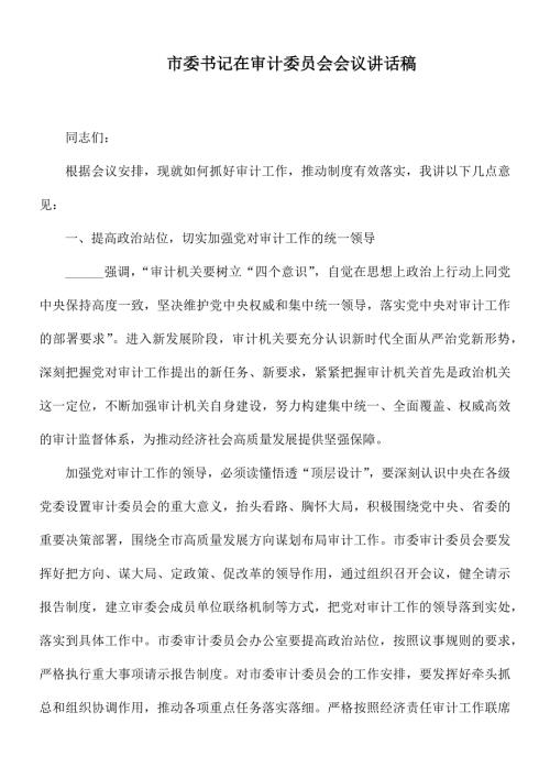 市委书记在审计委员会会议讲话稿.docx