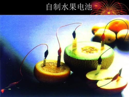小学科学自制水果电池.ppt