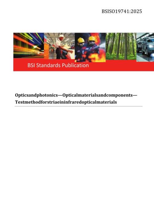 BS ISO 19741 2025.docx