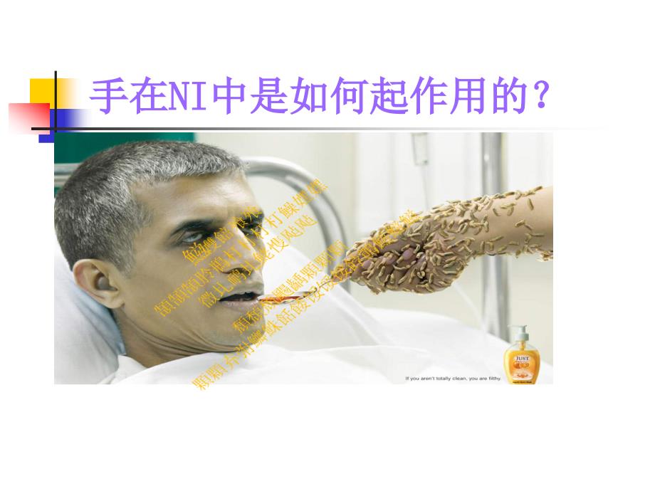 手卫生ppt课件.ppt_第2页
