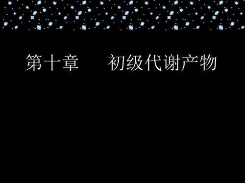 氨基酸生产工艺PPT课件.ppt