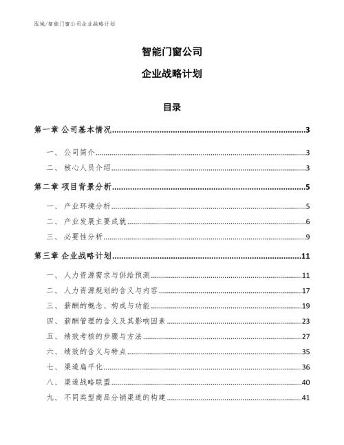 智能门窗公司企业战略计划范文.docx