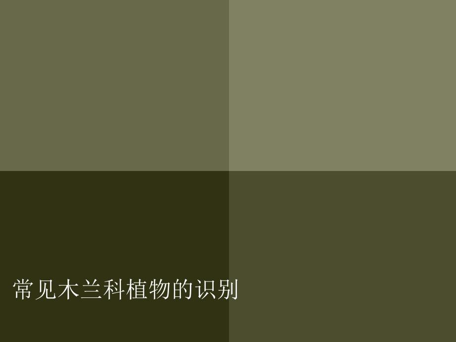 常见木兰科植物的识别.ppt_第1页