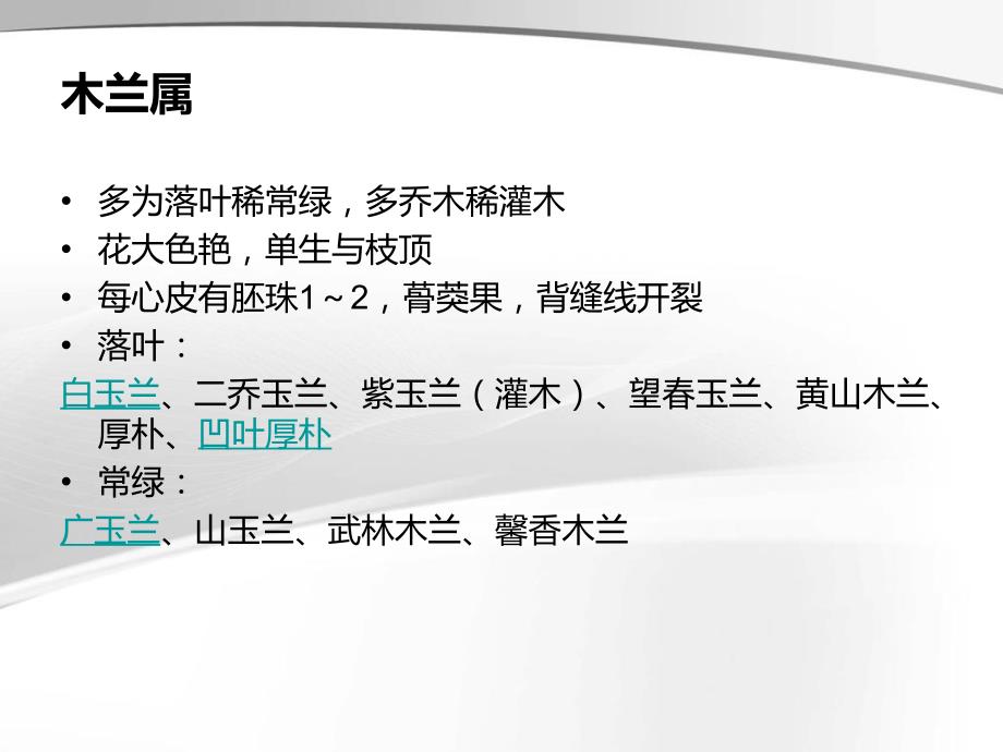 常见木兰科植物的识别.ppt_第3页
