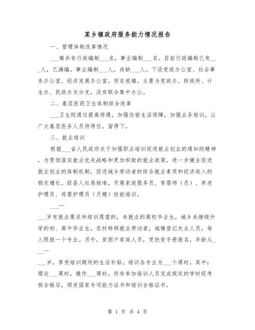 某乡镇政府服务能力情况报告.doc