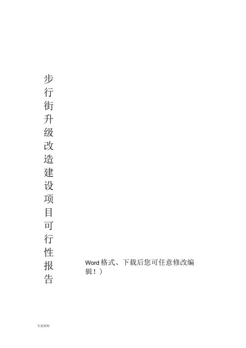 步行街升级改造建设项目可行性报告.docx