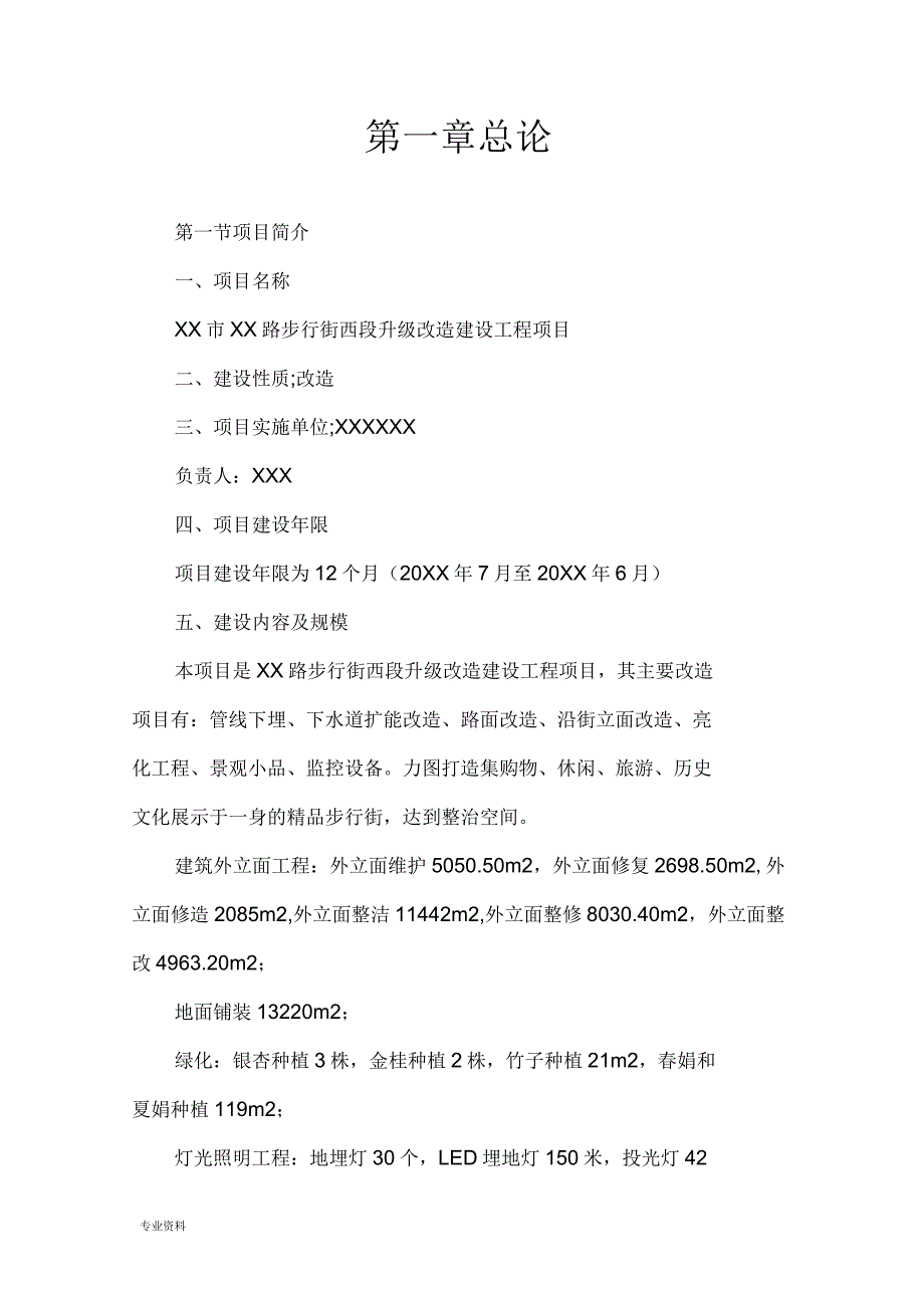 步行街升级改造建设项目可行性报告.docx_第2页