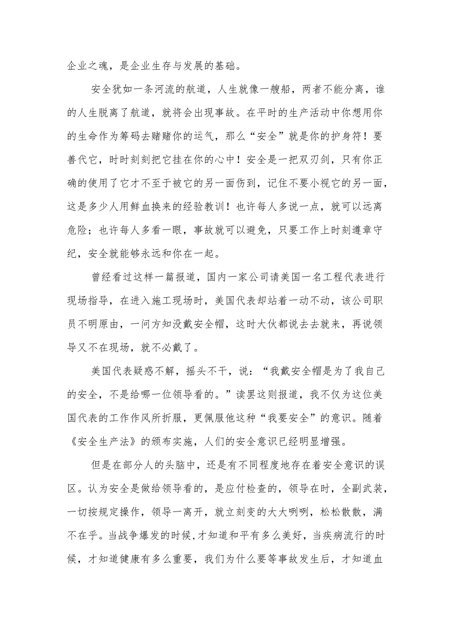 安全生产研讨发言.docx_第2页