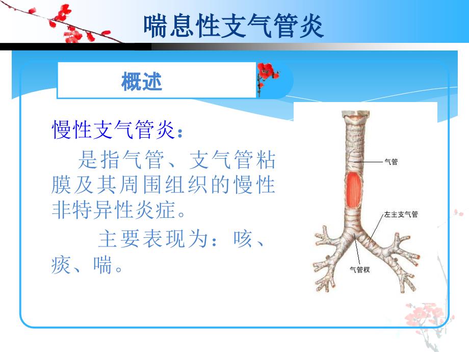 慢性支气管炎的护理查房.ppt_第2页