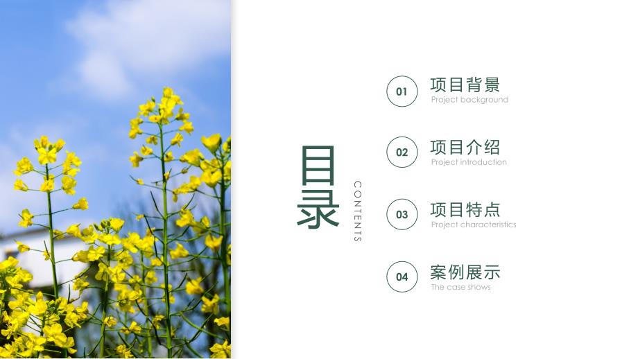 扶贫旅游项目介绍ppt课件.pptx_第2页