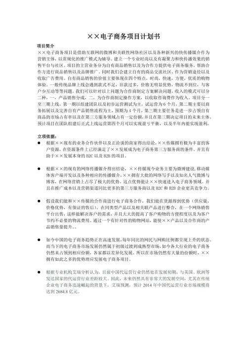电子商务项目计划书.doc