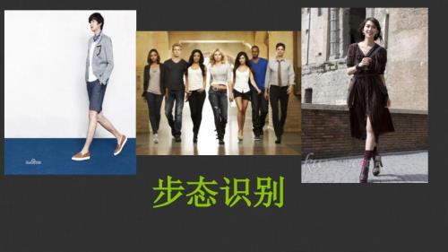 步态识别ppt课件.ppt