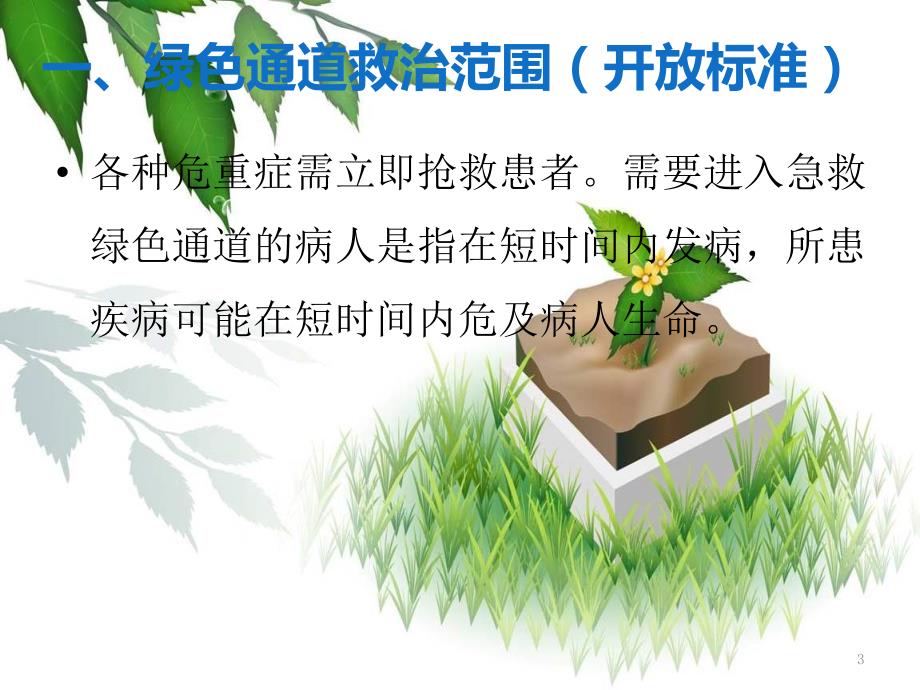 急诊绿色通道管理制度与流程ppt课件.ppt_第3页