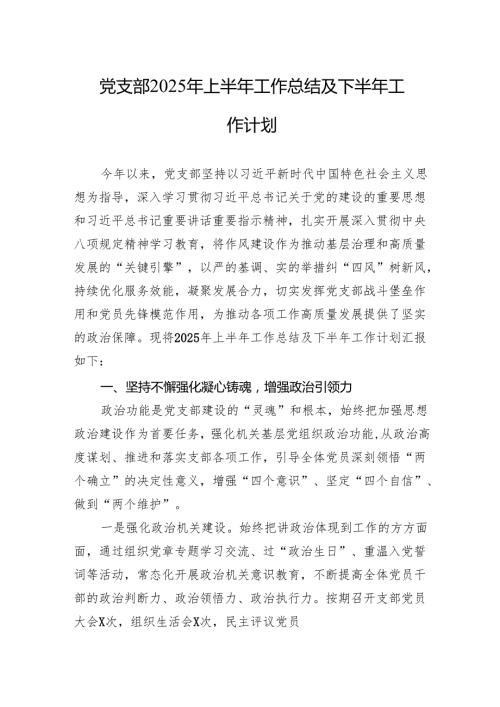 党支部2025年上半年工作总结及下半年工作计划材料.docx