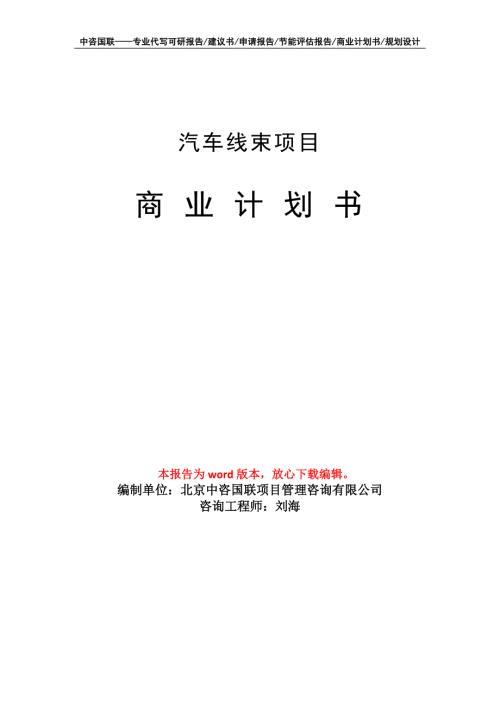 汽车线束项目商业计划书写作模板.doc