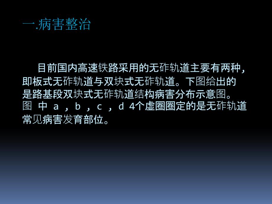 无砟轨道病害维修.pptx_第3页