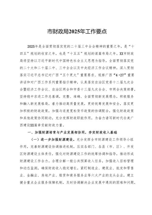 市财政局2025年工作要点.docx