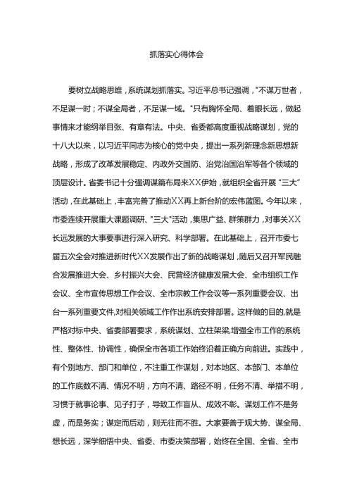 抓落实心得体会.docx