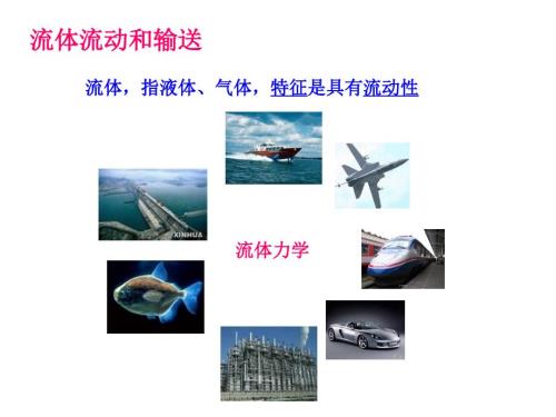 流体的流动和输送PPT课件.ppt