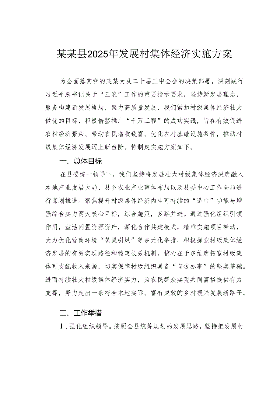 某某县2025年发展村集体经济实施方案.docx_第1页