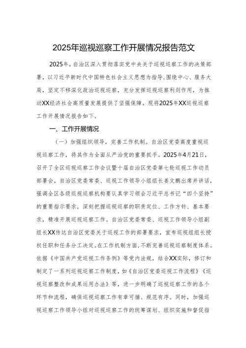 2025年巡视巡察工作开展情况报告范文.docx