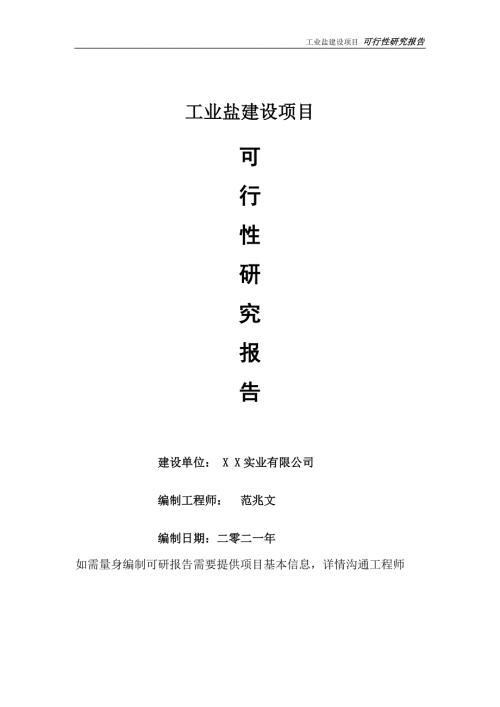 工业盐项目可行性研究报告可参考案例备案立项.doc