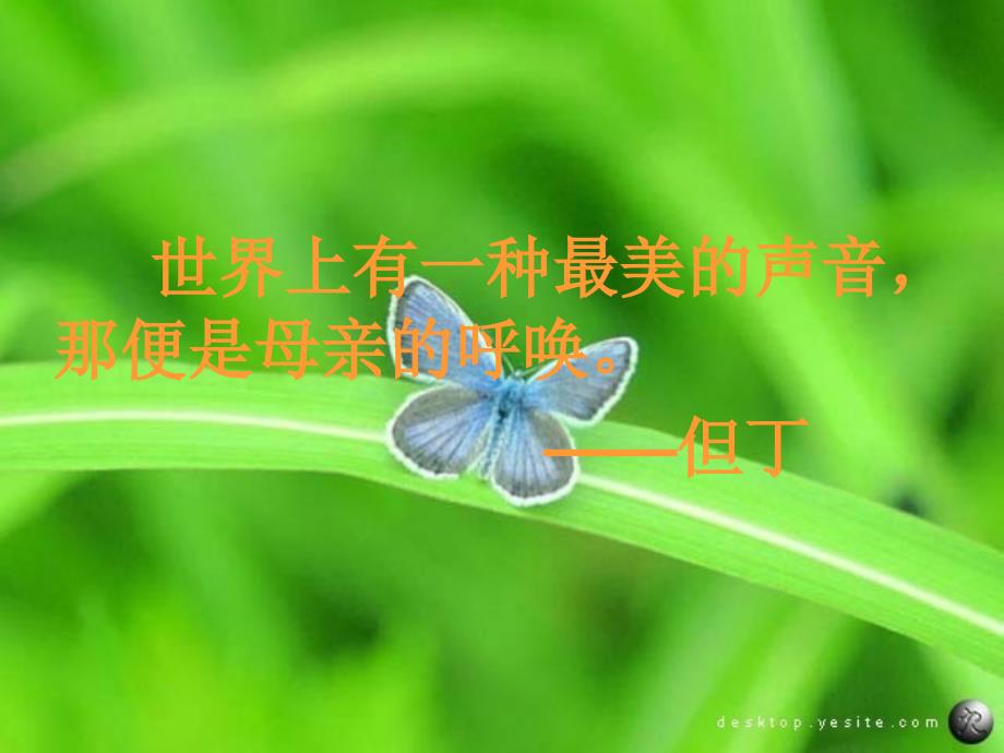 感动作文优秀课件.ppt_第3页