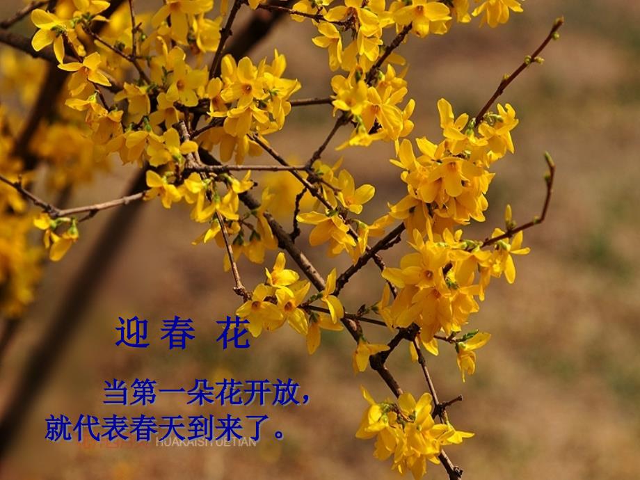 我喜欢的季节PPT课件.ppt_第3页