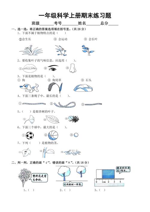 小学科学教科版一年级上册期末练习题参考答案.docx