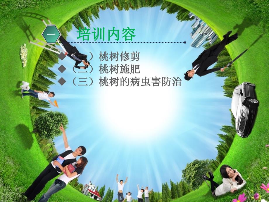 桃树的栽培技术PPT课件.ppt_第2页