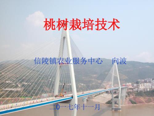 桃树的栽培技术PPT课件.ppt