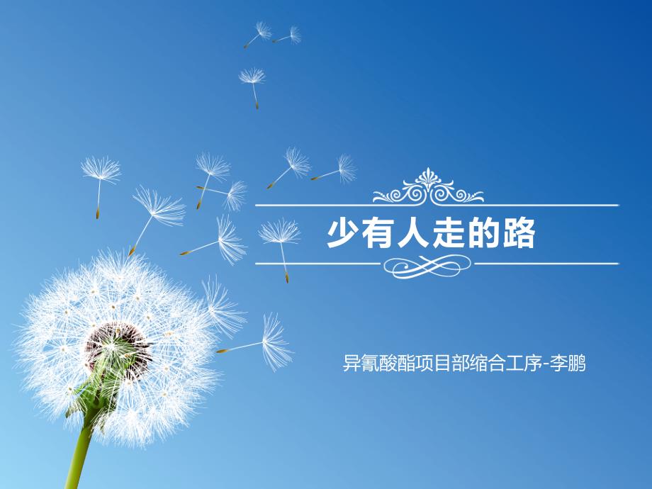 少有人走的路阅读分享.ppt_第1页