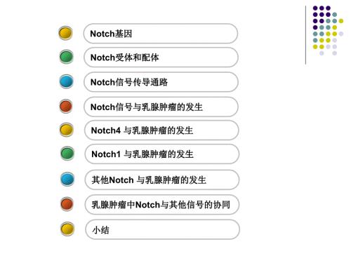 最新NOTCH信号通路与乳腺肿瘤发生的关系的的研究进展PPT文档.ppt