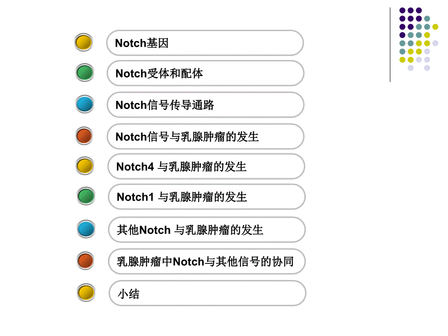最新NOTCH信号通路与乳腺肿瘤发生的关系的的研究进展PPT文档.ppt_第1页