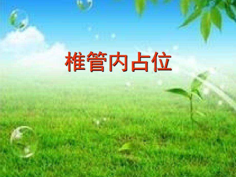 椎管内占位.ppt_第1页