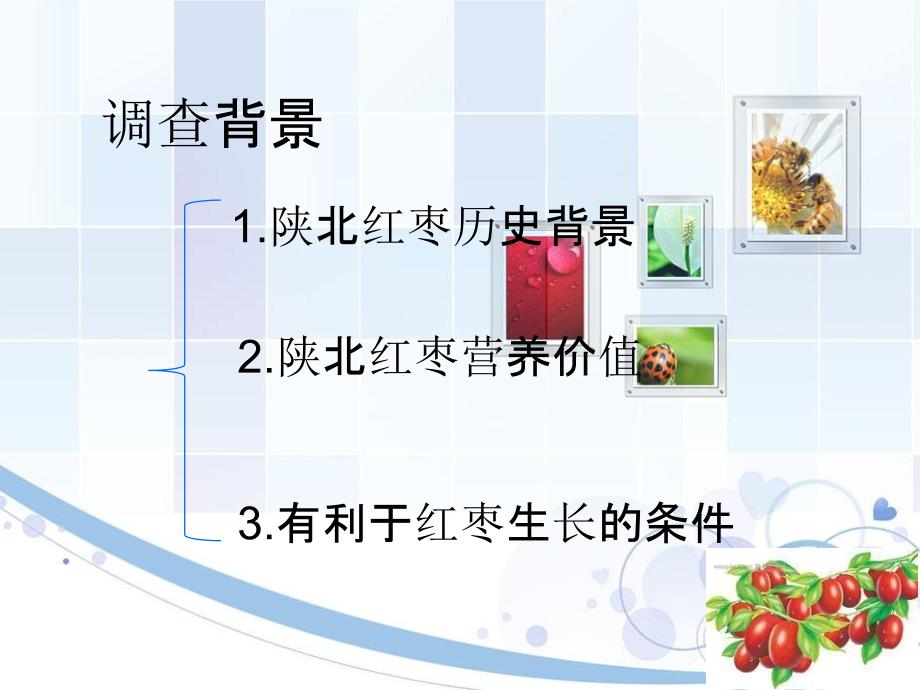 延安市红枣PPT课件.ppt_第2页