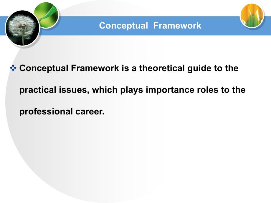 概念框架PPT课件.ppt_第2页