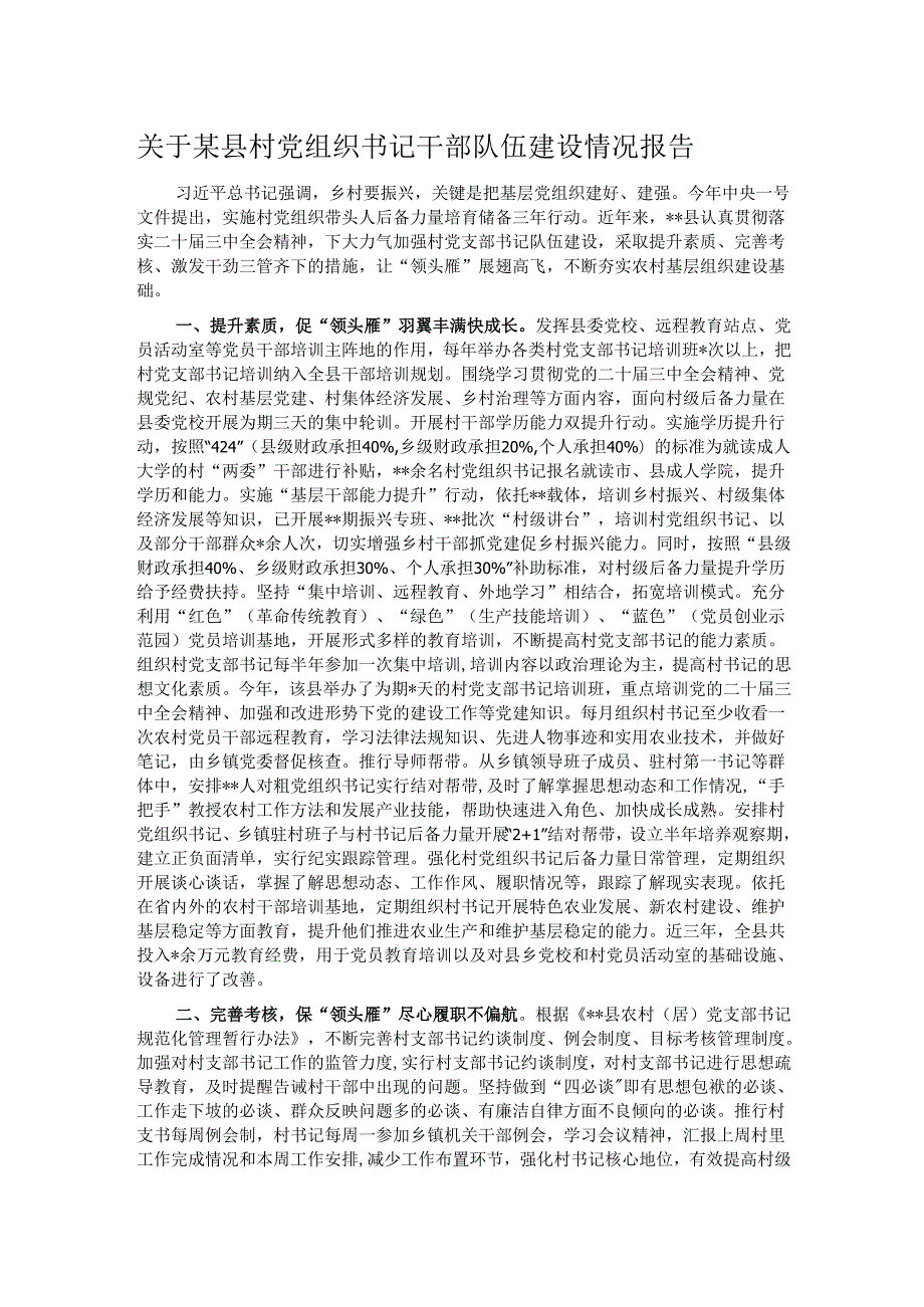 关于某县村党组织书记干部队伍建设情况报告.docx_第1页