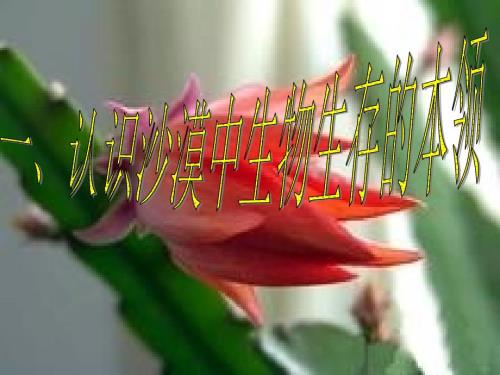 有利于生存的本领PPT课件.ppt