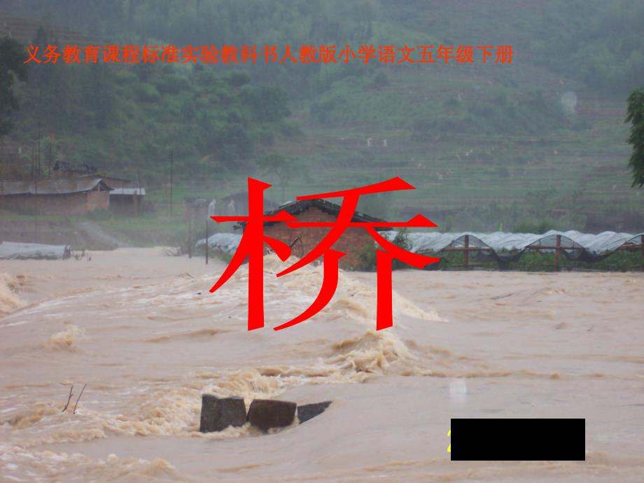 桥课件完整版.ppt_第2页