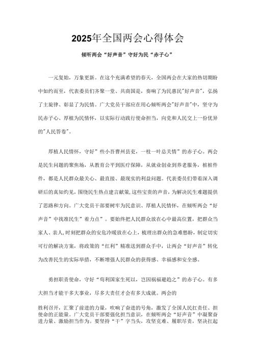 2025年两会心得体会6篇(1).docx