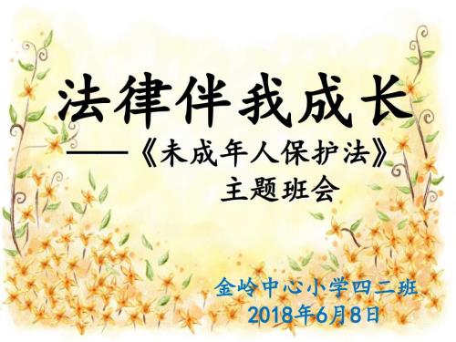 未成年人保护法主题班会.ppt