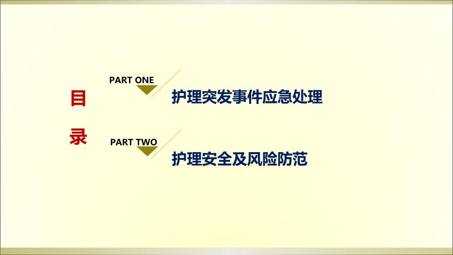 护理突发事件应急处理与风险防范.ppt_第2页
