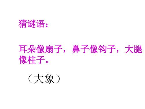曹冲称象PPT课件.ppt
