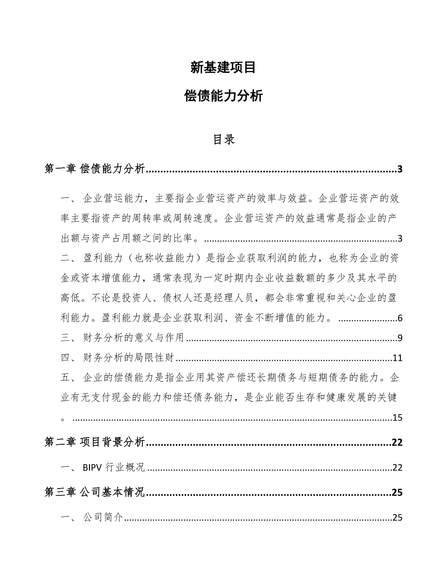 新基建项目偿债能力分析参考.docx_第1页