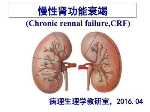 慢性肾功能不全PPT课件.ppt