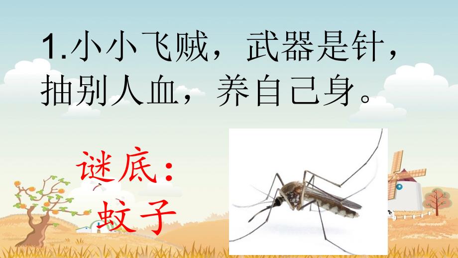 小学猜谜语比赛PPT课件.ppt_第3页