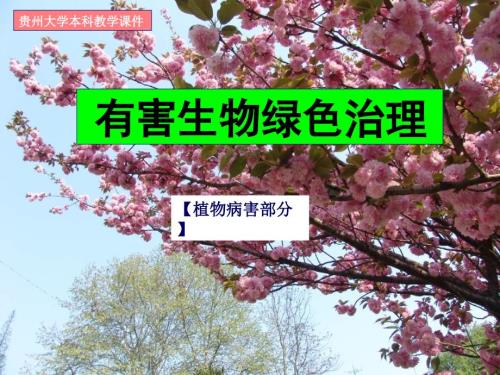 有害生物绿色治理.ppt